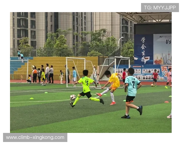 足坛多才多艺男球星盘点 足球技能与场外兴趣的完美结合